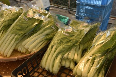 大原野の有名野菜