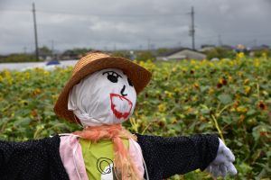 見ていると元気になる表情です!