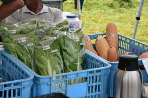 大原野イベントには欠かせない地元の新鮮野菜