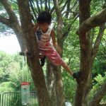 それぞれが自由に遊び方を見つけて走り回ります