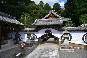 ちょうど神事が始まったころでした