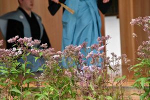 フジバカマが祭りを華やかにします。