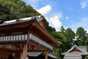 立派な能舞台、こちらで奉納舞、奉納能が行われます。