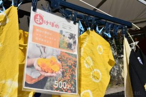 自然の素材で染体験 - アートスペースあけぼのさん