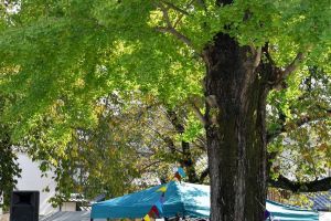 音楽、読書、食べる、遊ぶ…とてもたのしい空間でした