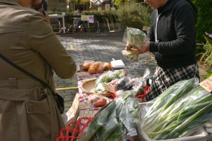 新鮮な野菜を前に話も弾みます - オーガニックnicoさん