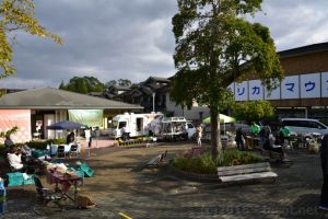 リカーマウンテンの隣です。