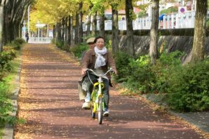 往復10分くらいのコースを運行します