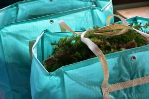 ワークショップの為に集めたそう!自然のいい香り!