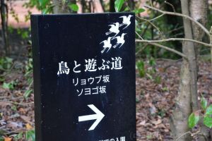 家族で遊べる場所です。お弁当もってーもいいですね。