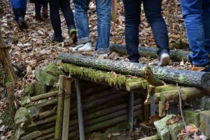 ちょっと揺れる…恐る恐るでもみんな渡りきりました