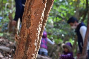 自然の中でのちょっとした体験がまた何か学びに繋がるかも