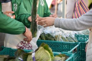 店頭に並んだ野菜と同じ?違う?試してみてください!